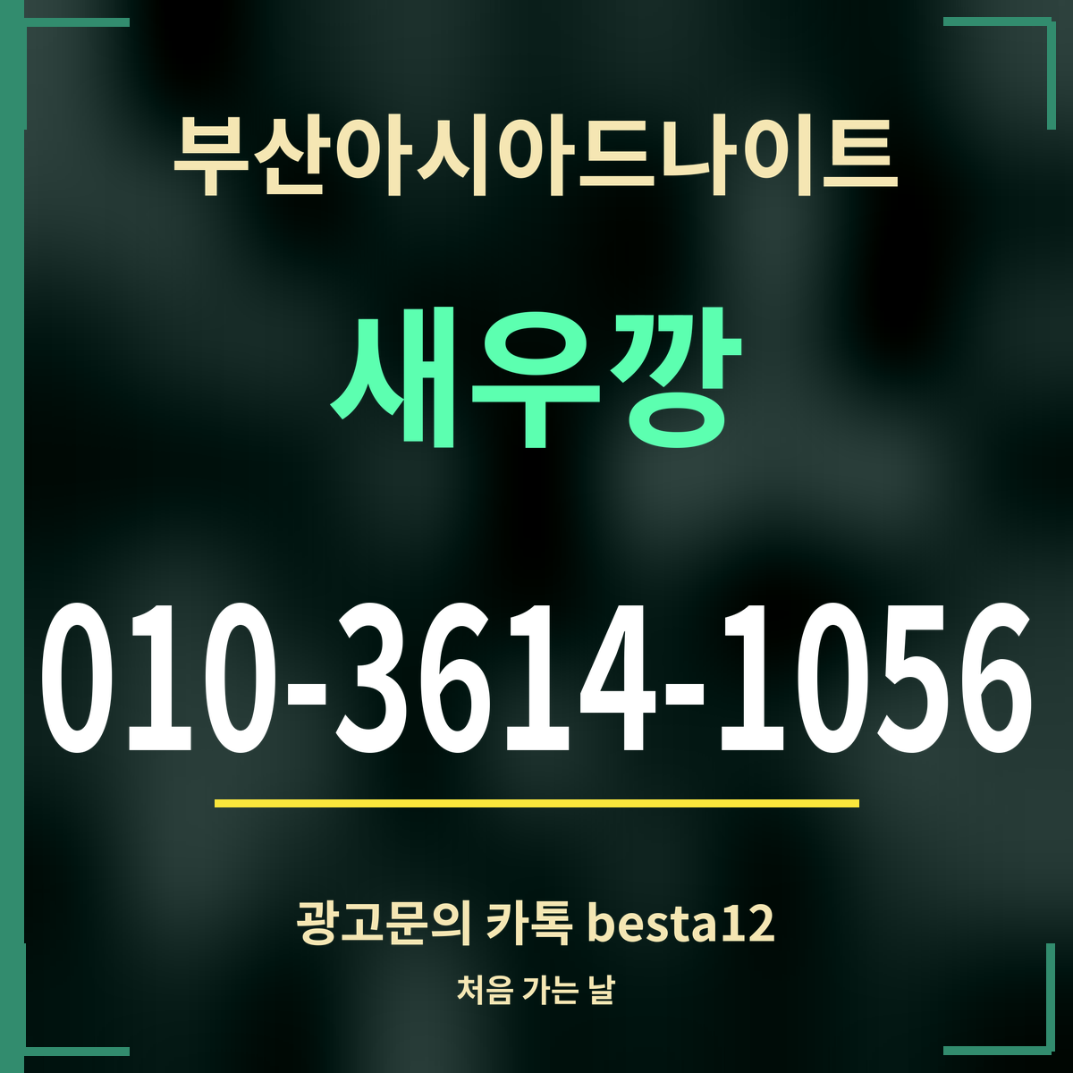 부산아시아드나이트 새우깡 010-3614-1056 광고문의 카톡 besta12
